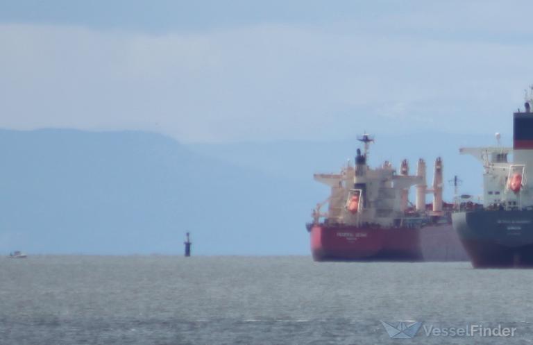 federal izumi (Bulk Carrier) - IMO 9883015, MMSI 356585000, Call Sign H9CB under the flag of Panama