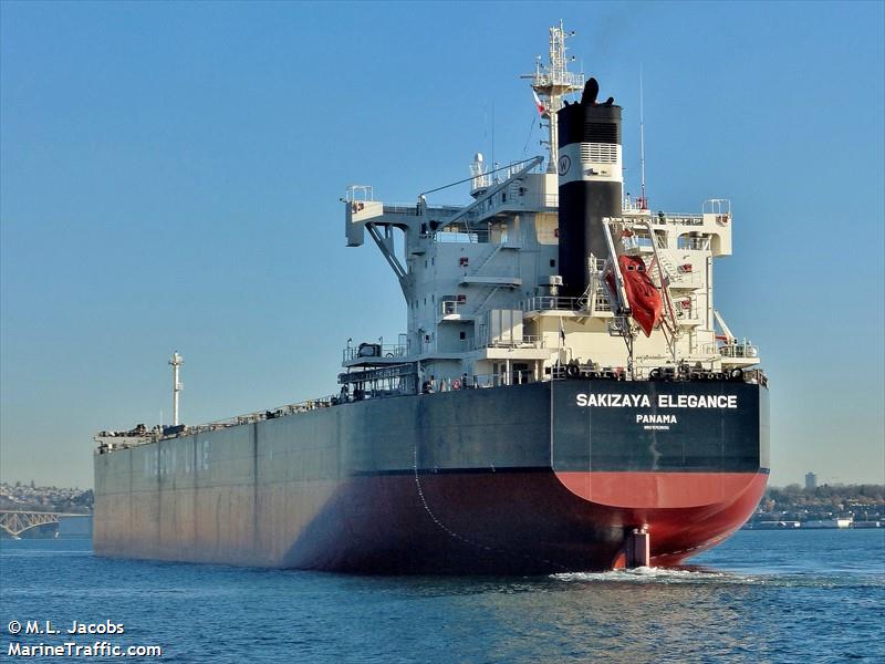 sakizaya elegance (Bulk Carrier) - IMO 9713806, MMSI 374101000, Call Sign 3FDD5 under the flag of Panama