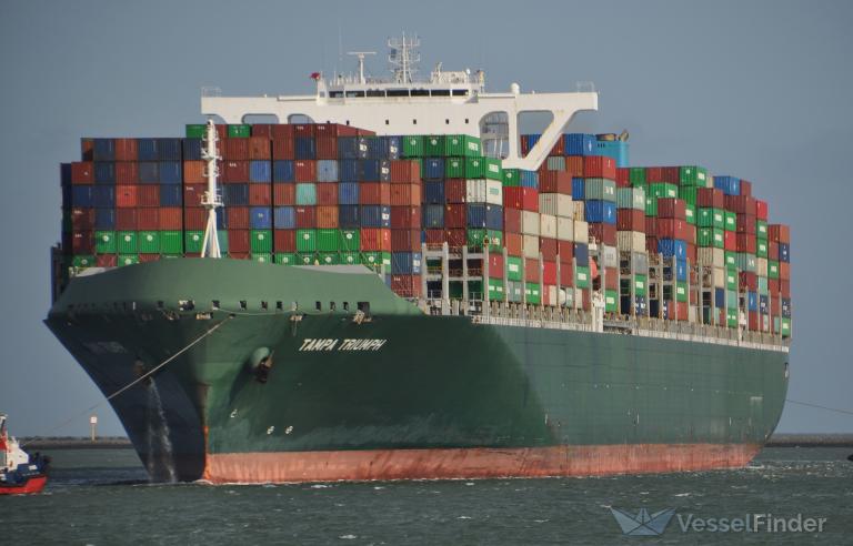 tampa triumph (Container Ship) - IMO 9737462, MMSI 374935000, Call Sign 3EJB3 under the flag of Panama