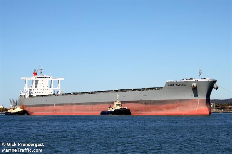 cape sakura (Bulk Carrier) - IMO 9573763, MMSI 432786000, Call Sign 7JHZ under the flag of Japan