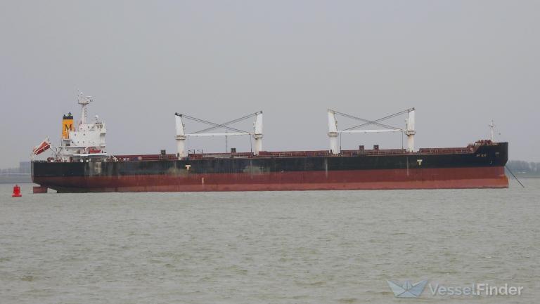ivy blue (Bulk Carrier) - IMO 9419943, MMSI 538007552, Call Sign V7KM9 under the flag of Marshall Islands