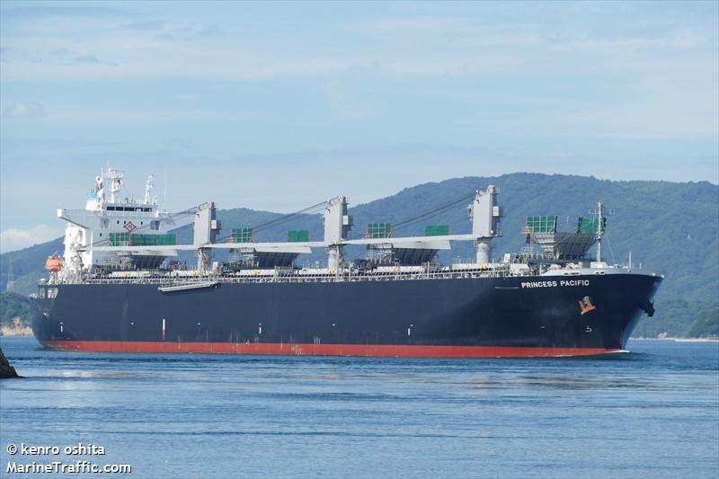 princess pacific (Wood Chips Carrier) - IMO 9810953, MMSI 538007558, Call Sign V7SG9 under the flag of Marshall Islands