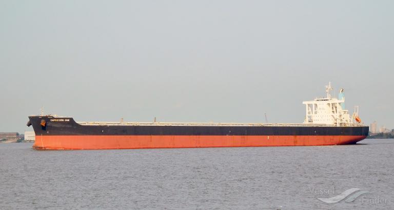 capricorn one (Bulk Carrier) - IMO 9739018, MMSI 564096000, Call Sign 9V3475 under the flag of Singapore