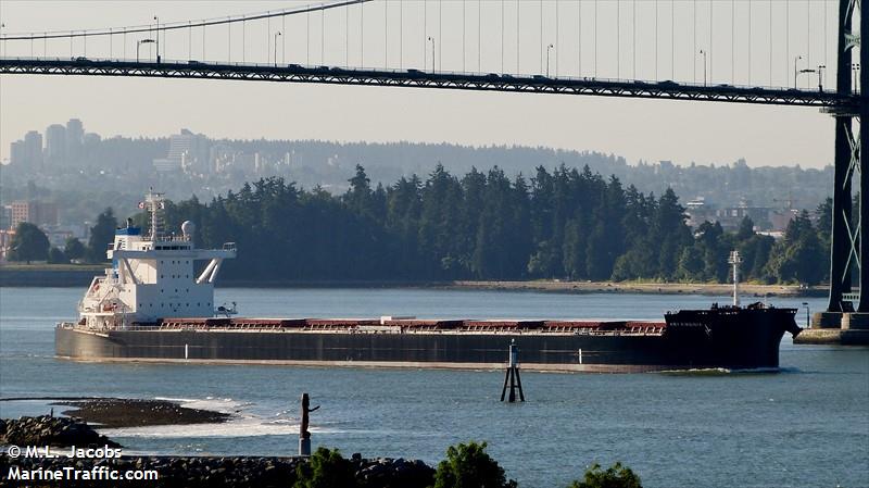 star virginia (Bulk Carrier) - IMO 9698874, MMSI 229971000, Call Sign 9HA3763 under the flag of Malta