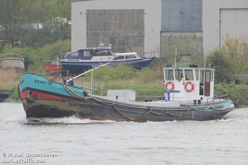 schelde (Tanker) - IMO , MMSI 244750376, Call Sign PE7561 under the flag of Netherlands