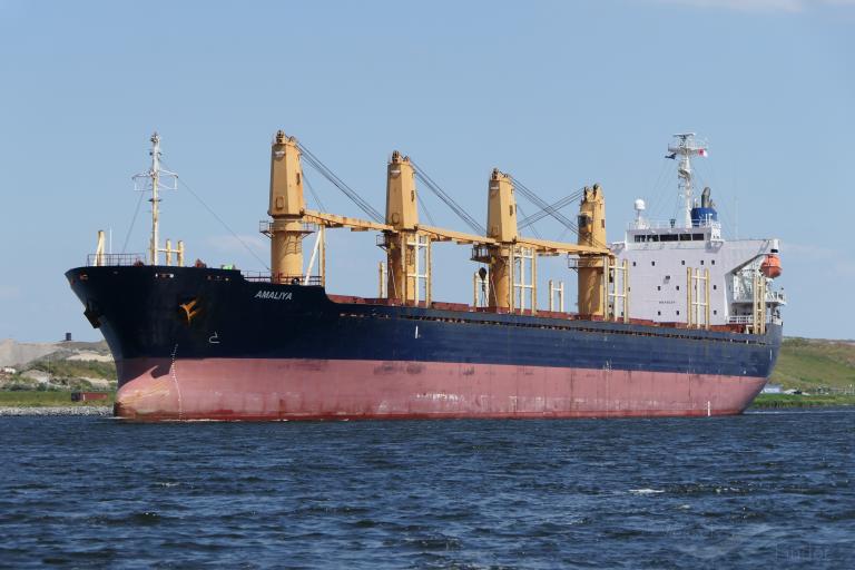 amaliya (Bulk Carrier) - IMO 9312341, MMSI 248153000, Call Sign 9HA2210 under the flag of Malta