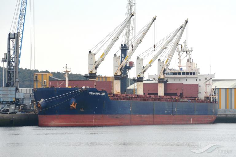 senanur cebi (Bulk Carrier) - IMO 9491367, MMSI 255806282, Call Sign CQAU8 under the flag of Madeira