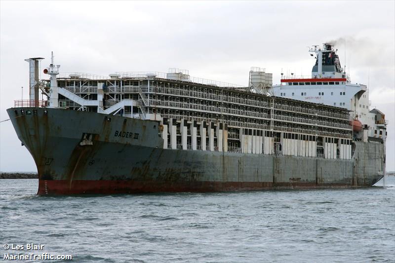 bader iii (Livestock Carrier) - IMO 7504598, MMSI 308603000, Call Sign C6HS4 under the flag of Bahamas