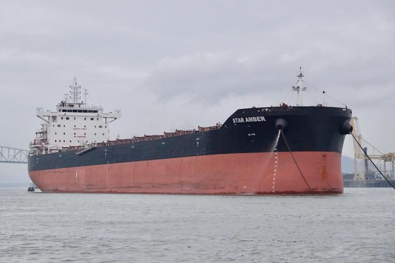 star amber (Bulk Carrier) - IMO 9827396, MMSI 311000730, Call Sign C6DN9 under the flag of Bahamas