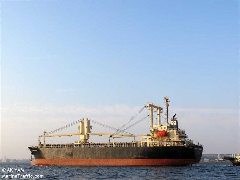 tosei maru (General Cargo Ship) - IMO 9232541, MMSI 351060000, Call Sign H3QG under the flag of Panama