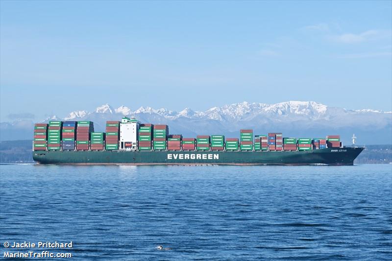ever lotus (Container Ship) - IMO 9604122, MMSI 352135000, Call Sign 3FWH8 under the flag of Panama