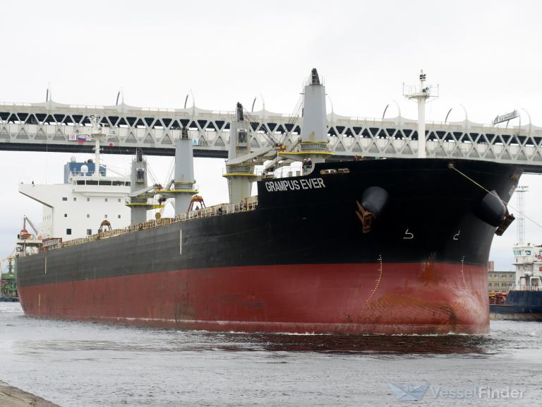 ikan selayang (Bulk Carrier) - IMO 9607100, MMSI 353178000, Call Sign 3ETT9 under the flag of Panama