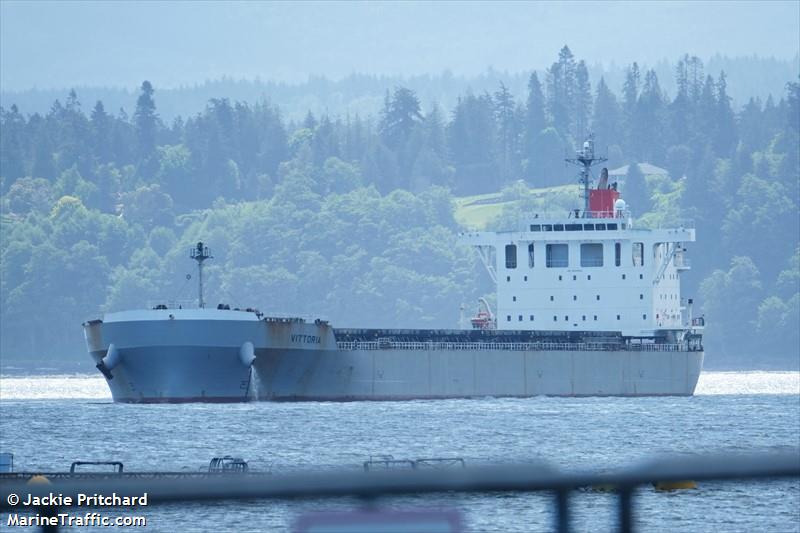 vittoria (Bulk Carrier) - IMO 9620645, MMSI 354314000, Call Sign 3FJY5 under the flag of Panama