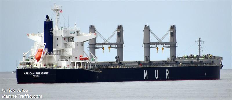african pheasant (Bulk Carrier) - IMO 9846330, MMSI 357146000, Call Sign 3FVQ2 under the flag of Panama