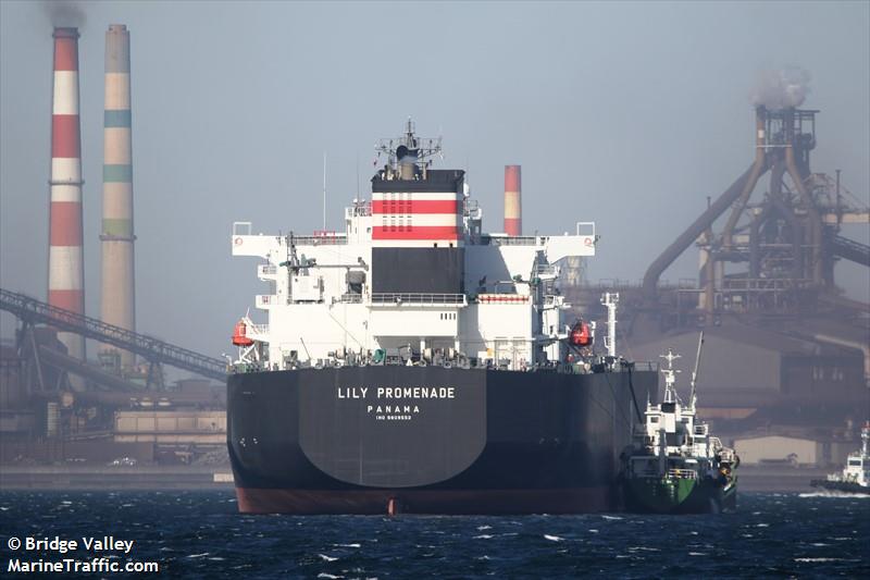lily promenade (LPG Tanker) - IMO 9809552, MMSI 370503000, Call Sign 3EBE5 under the flag of Panama
