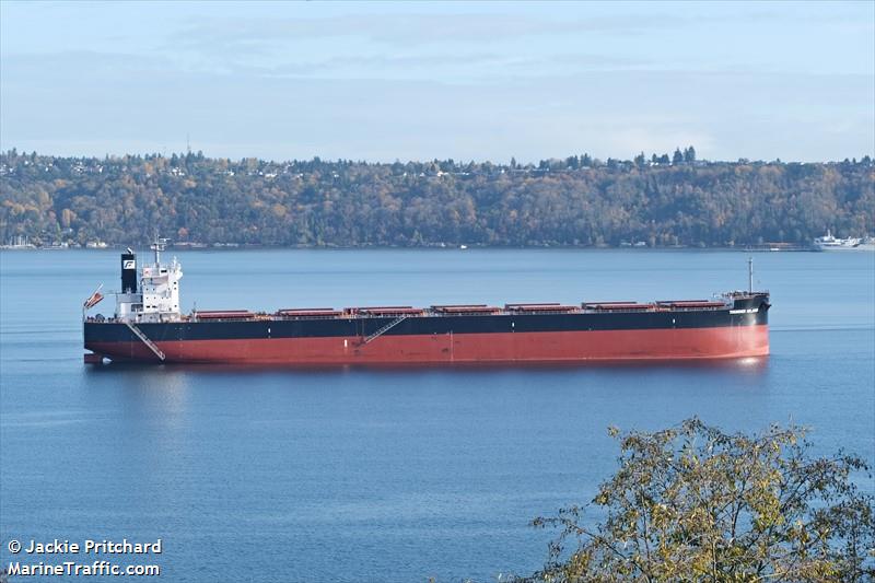 thunder island (Bulk Carrier) - IMO 9897901, MMSI 370574000, Call Sign 3FPK5 under the flag of Panama