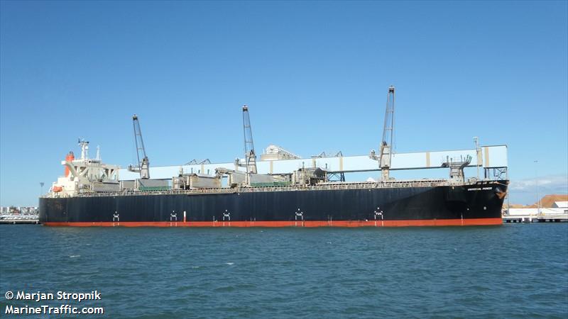 universal pioneer (Wood Chips Carrier) - IMO 9370214, MMSI 372130000, Call Sign 3FCG9 under the flag of Panama