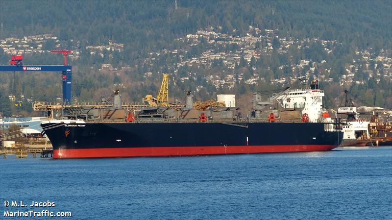 glorious peony (Wood Chips Carrier) - IMO 9311139, MMSI 372828000, Call Sign 3EKU2 under the flag of Panama
