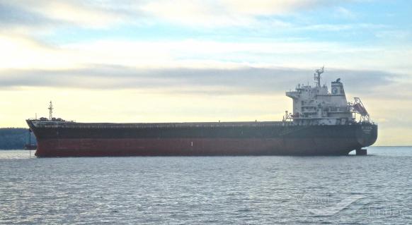 xing sheng (Bulk Carrier) - IMO 9497050, MMSI 412288000, Call Sign BOCG8 under the flag of China