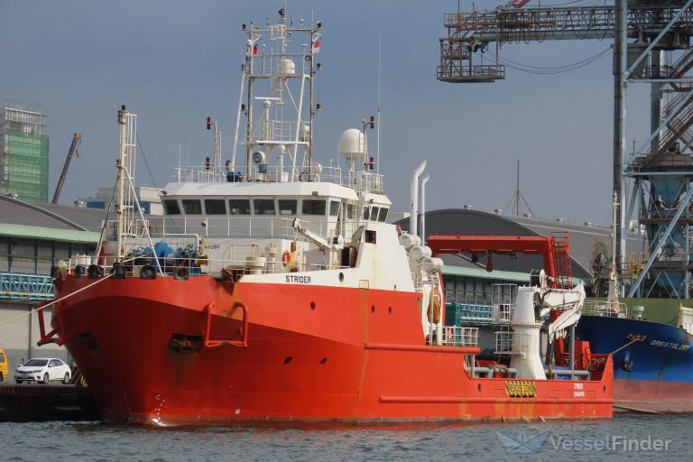 strider (Offshore Tug/Supply Ship) - IMO 9369289, MMSI 563019300, Call Sign 9V5440 under the flag of Singapore