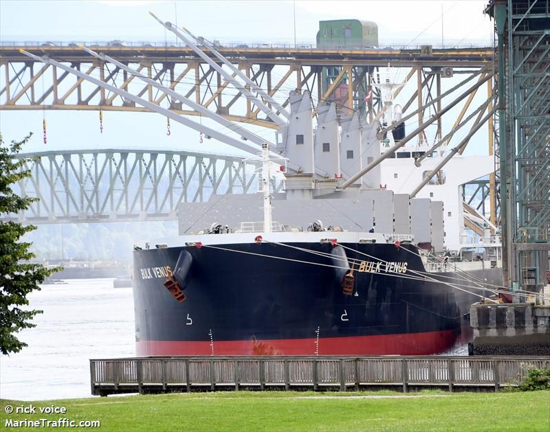 bulk venus (Bulk Carrier) - IMO 9744520, MMSI 563027400, Call Sign 9V5164 under the flag of Singapore