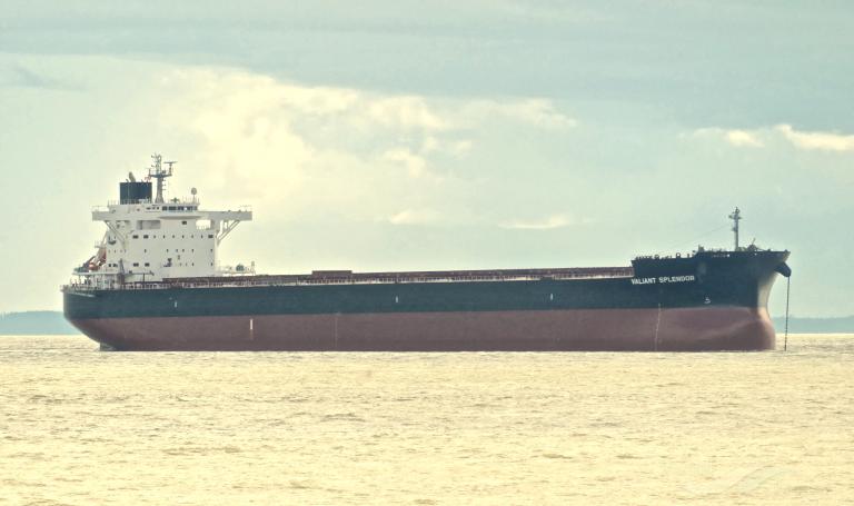 valiant splendor (Bulk Carrier) - IMO 9770995, MMSI 563100100, Call Sign 9V6533 under the flag of Singapore