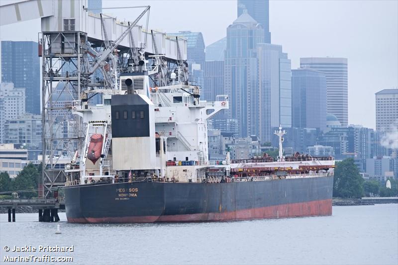 pegasos (Bulk Carrier) - IMO 9624653, MMSI 636017725, Call Sign D5ML3 under the flag of Liberia