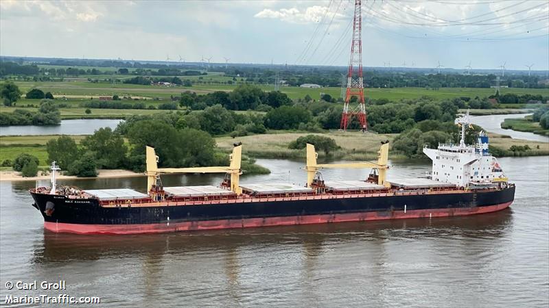 bulk bahamas (Bulk Carrier) - IMO 9514315, MMSI 636018053, Call Sign D5NY7 under the flag of Liberia