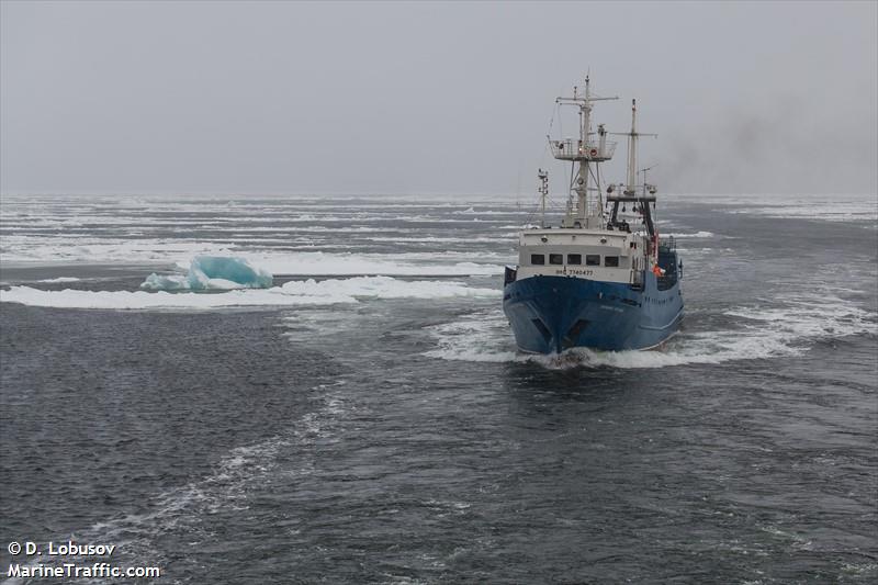 dalnie zelentsy (Research Vessel) - IMO 7740477, MMSI 273439220, Call Sign UHZH under the flag of Russia