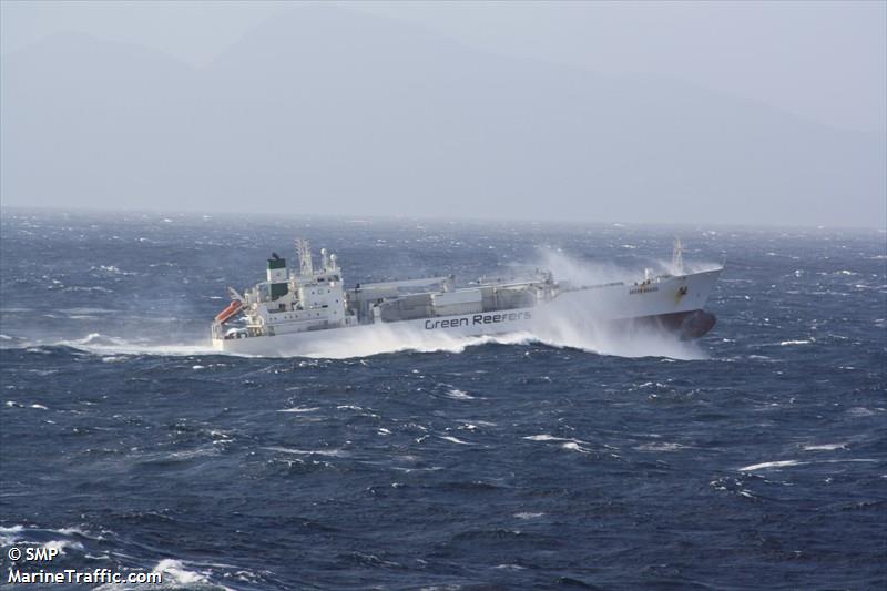 green brazil (Refrigerated Cargo Ship) - IMO 9045792, MMSI 309681000, Call Sign C6WH6 under the flag of Bahamas