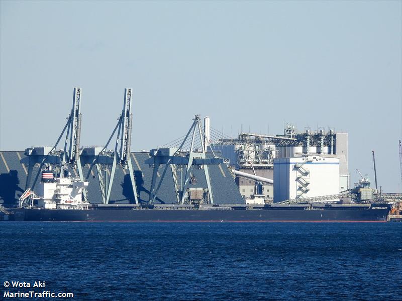 wisteria salute (Bulk Carrier) - IMO 9875185, MMSI 353572000, Call Sign 3EZK3 under the flag of Panama