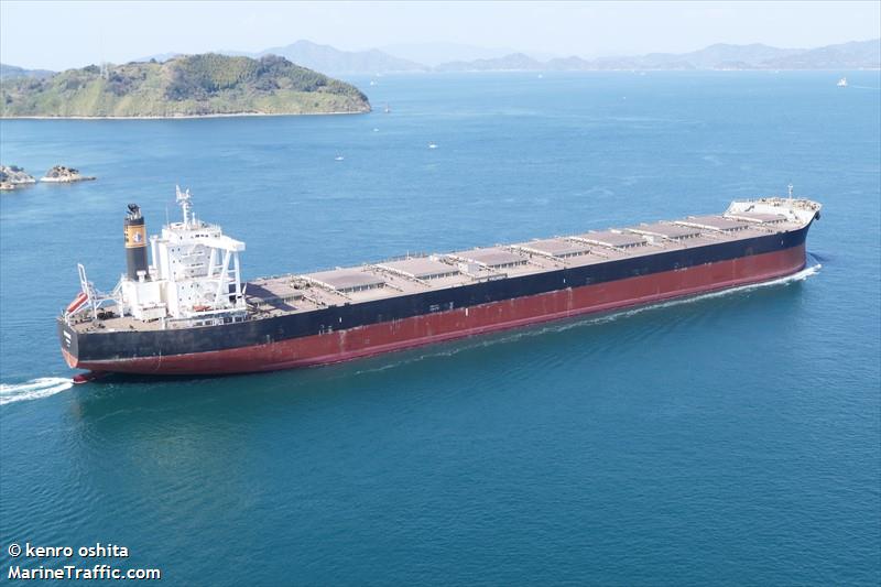 capetan ioannis (Bulk Carrier) - IMO 9589695, MMSI 354589000, Call Sign 3EVA8 under the flag of Panama