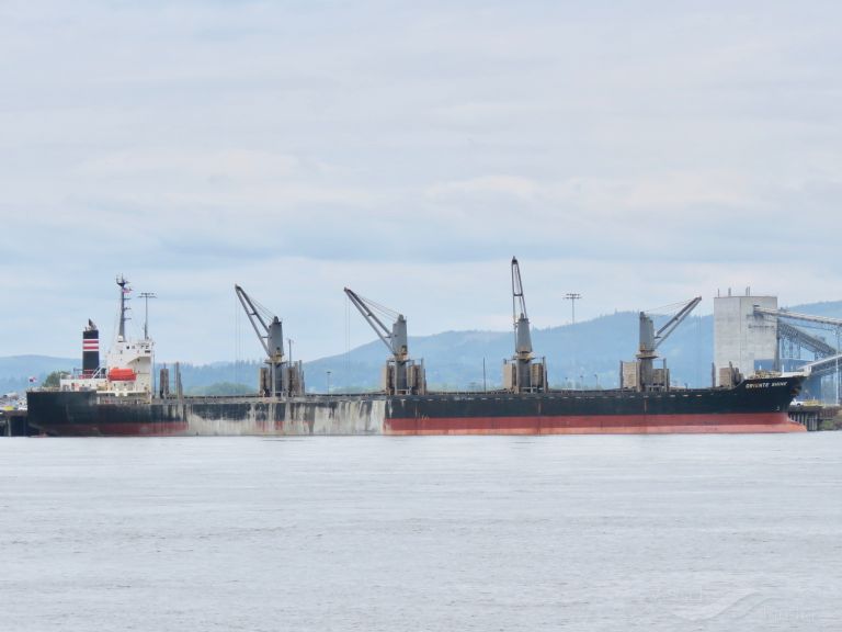 sea aries (Bulk Carrier) - IMO 9236846, MMSI 355900000, Call Sign H9AL under the flag of Panama