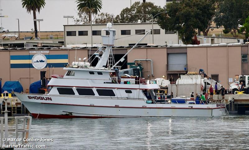 shogun (Fishing vessel) - IMO , MMSI 368453000, Call Sign WDC4322 under the flag of United States (USA)