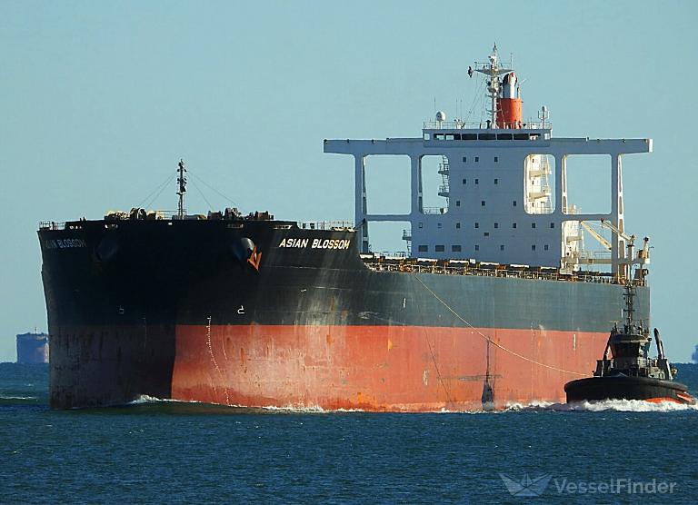 asian blossom (Bulk Carrier) - IMO 9446520, MMSI 370004000, Call Sign 3FGD7 under the flag of Panama