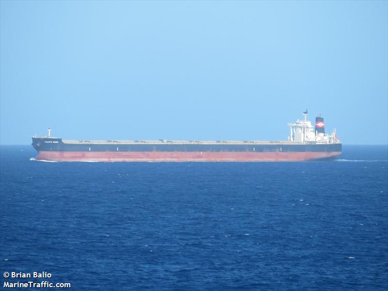 pacific maru (Bulk Carrier) - IMO 9643506, MMSI 373280000, Call Sign 3ETT under the flag of Panama