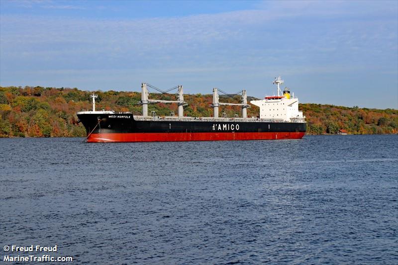 medi norfolk (Bulk Carrier) - IMO 9760134, MMSI 374090000, Call Sign HORZ under the flag of Panama