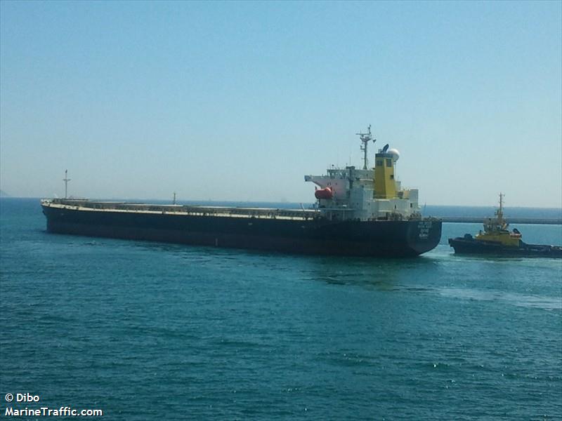 maha aarti (Bulk Carrier) - IMO 9355484, MMSI 419093500, Call Sign AVDA under the flag of India