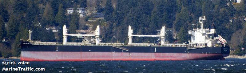 xing hao hai (Bulk Carrier) - IMO 9746023, MMSI 477730800, Call Sign VRPF5 under the flag of Hong Kong