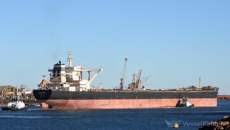 ocean world (Bulk Carrier) - IMO 9445289, MMSI 477802300, Call Sign VRIB5 under the flag of Hong Kong