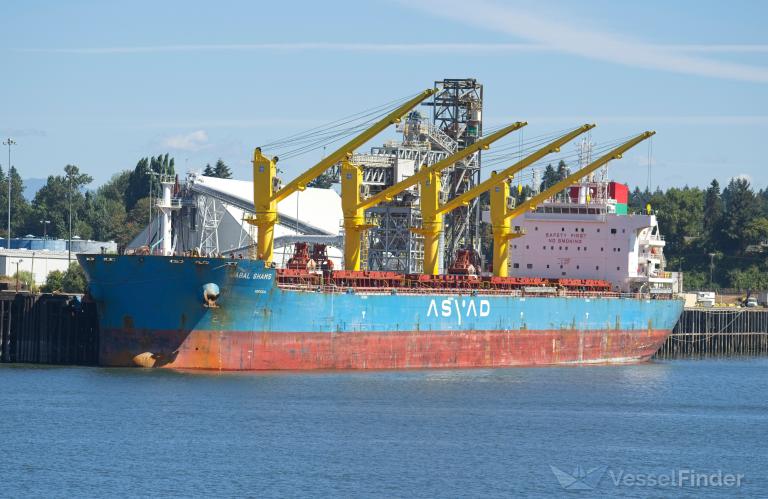 jabal shams (Bulk Carrier) - IMO 9850771, MMSI 538008318, Call Sign V7A2232 under the flag of Marshall Islands