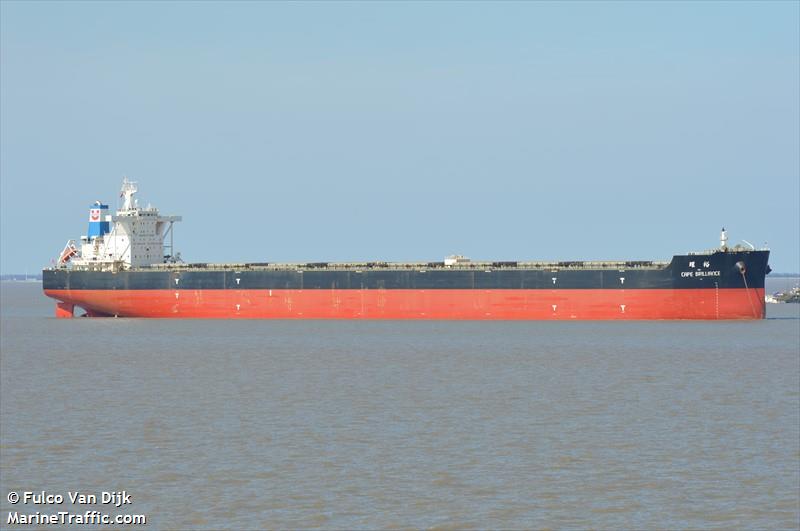 cape brilliance (Bulk Carrier) - IMO 9704104, MMSI 563205000, Call Sign 9V2905 under the flag of Singapore