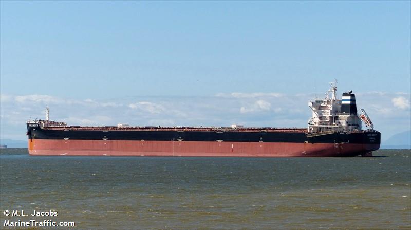 doric liberty (Bulk Carrier) - IMO 9611890, MMSI 636015500, Call Sign D5BD2 under the flag of Liberia