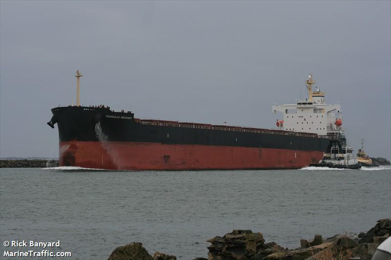 pedhoulas merchant (Bulk Carrier) - IMO 9279800, MMSI 210349000, Call Sign C4JL2 under the flag of Cyprus