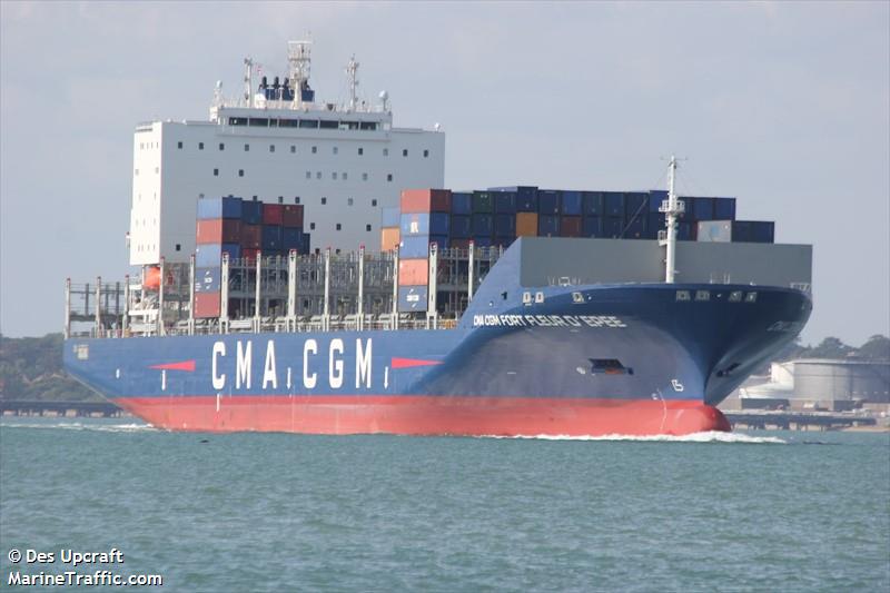cc fort fleur depee (Container Ship) - IMO 9809851, MMSI 228373600, Call Sign FLWP under the flag of France