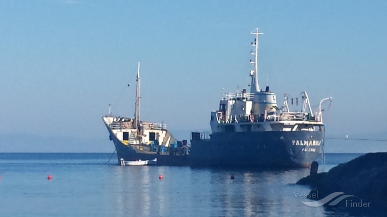 palmarola (Water Tanker) - IMO 5359951, MMSI 247223500, Call Sign INBJ under the flag of Italy