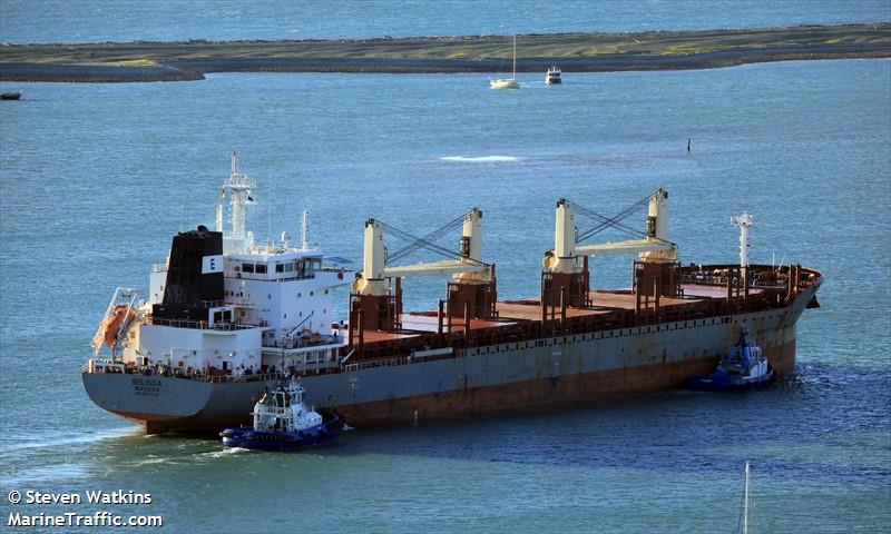 nordic falcon (Bulk Carrier) - IMO 9607459, MMSI 255805360, Call Sign CQLU under the flag of Madeira