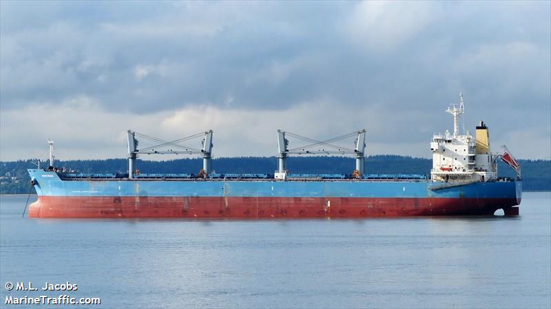 mystras (Bulk Carrier) - IMO 9601168, MMSI 311000080, Call Sign C6AL5 under the flag of Bahamas