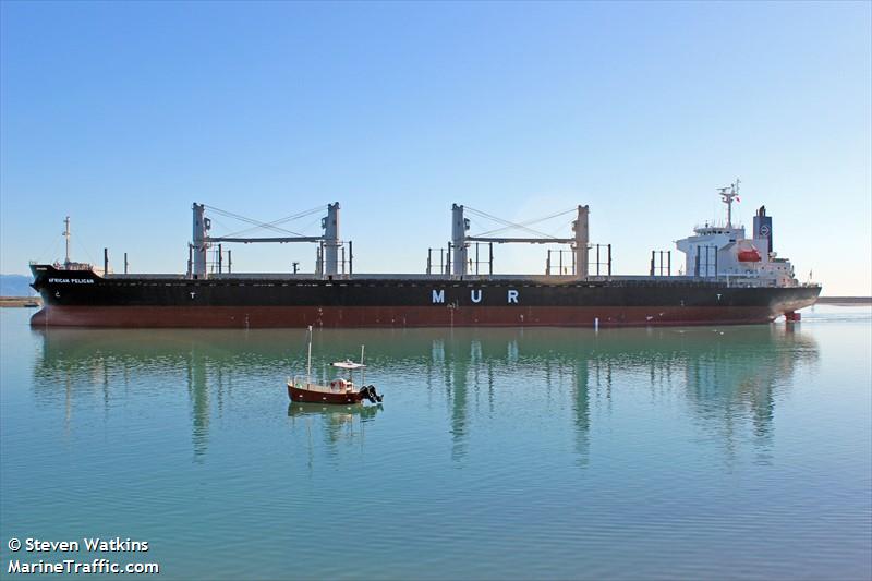 african pelican (Bulk Carrier) - IMO 9692789, MMSI 311000315, Call Sign C6BN9 under the flag of Bahamas