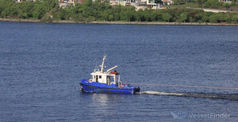 ocean albatros (Tug) - IMO , MMSI 316012891 under the flag of Canada